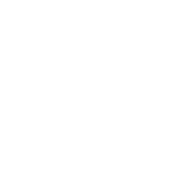 Bilsetein